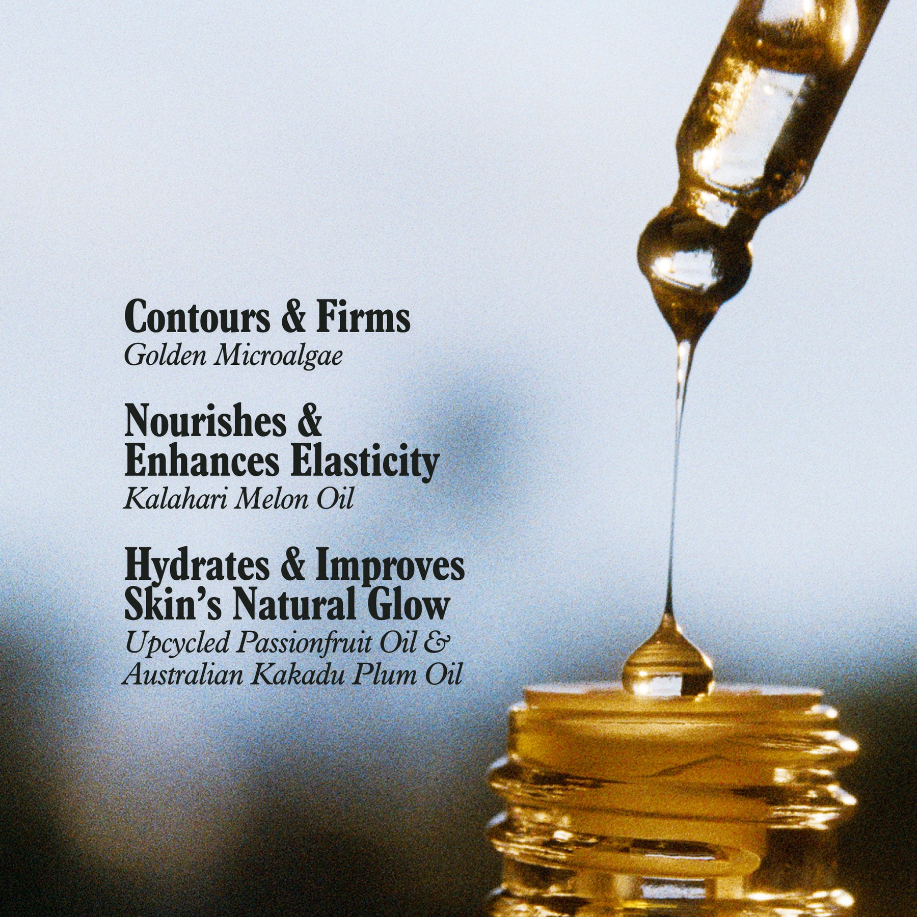 Golden Microalgae Body Oil