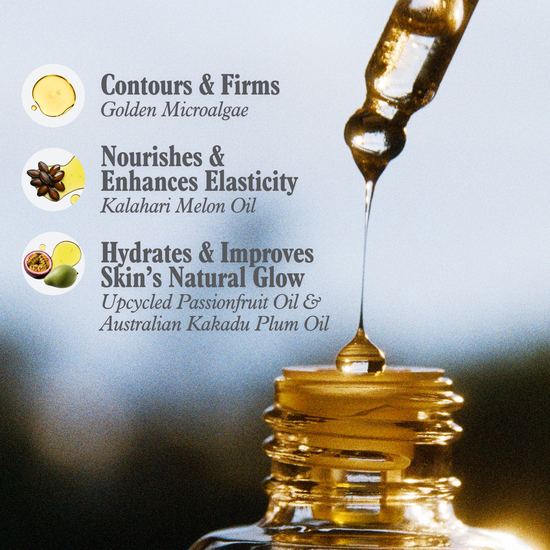 Golden Microalgae Body Oil