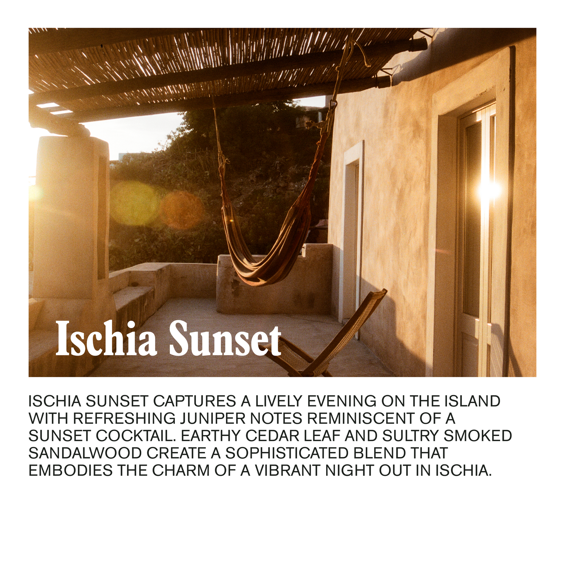 Plush Marine Shower Oil