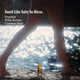 Golden Microalgae Body Oil