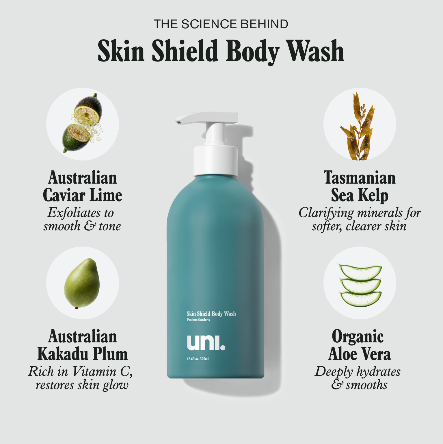 Skin Shield Body Wash
