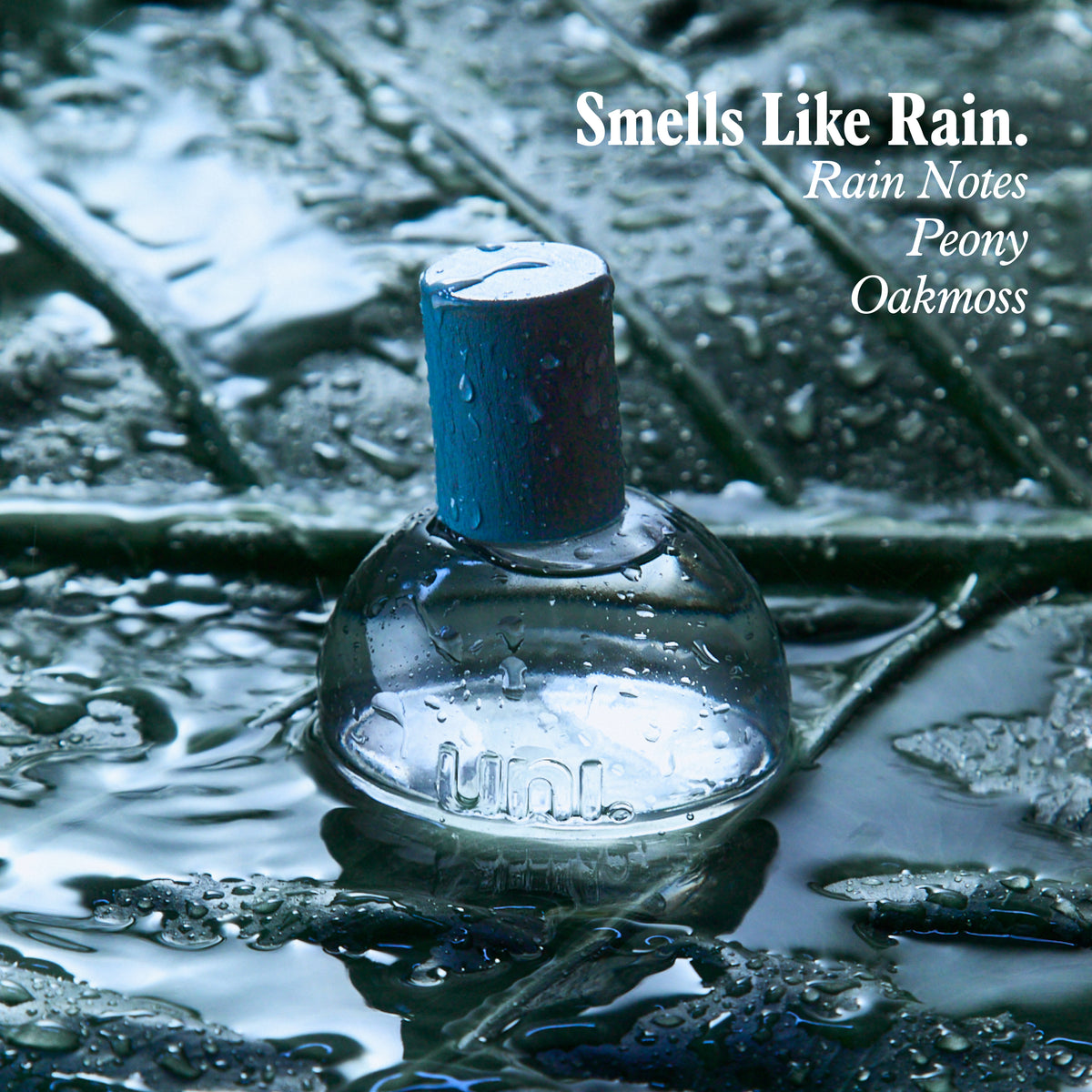香水(ユニセックス) The PERFUME OIL FACTORY Rain China Rain Pure Perfume - Tranquil Essence – Nantucket Perfume Company 香水(ユニセックス)