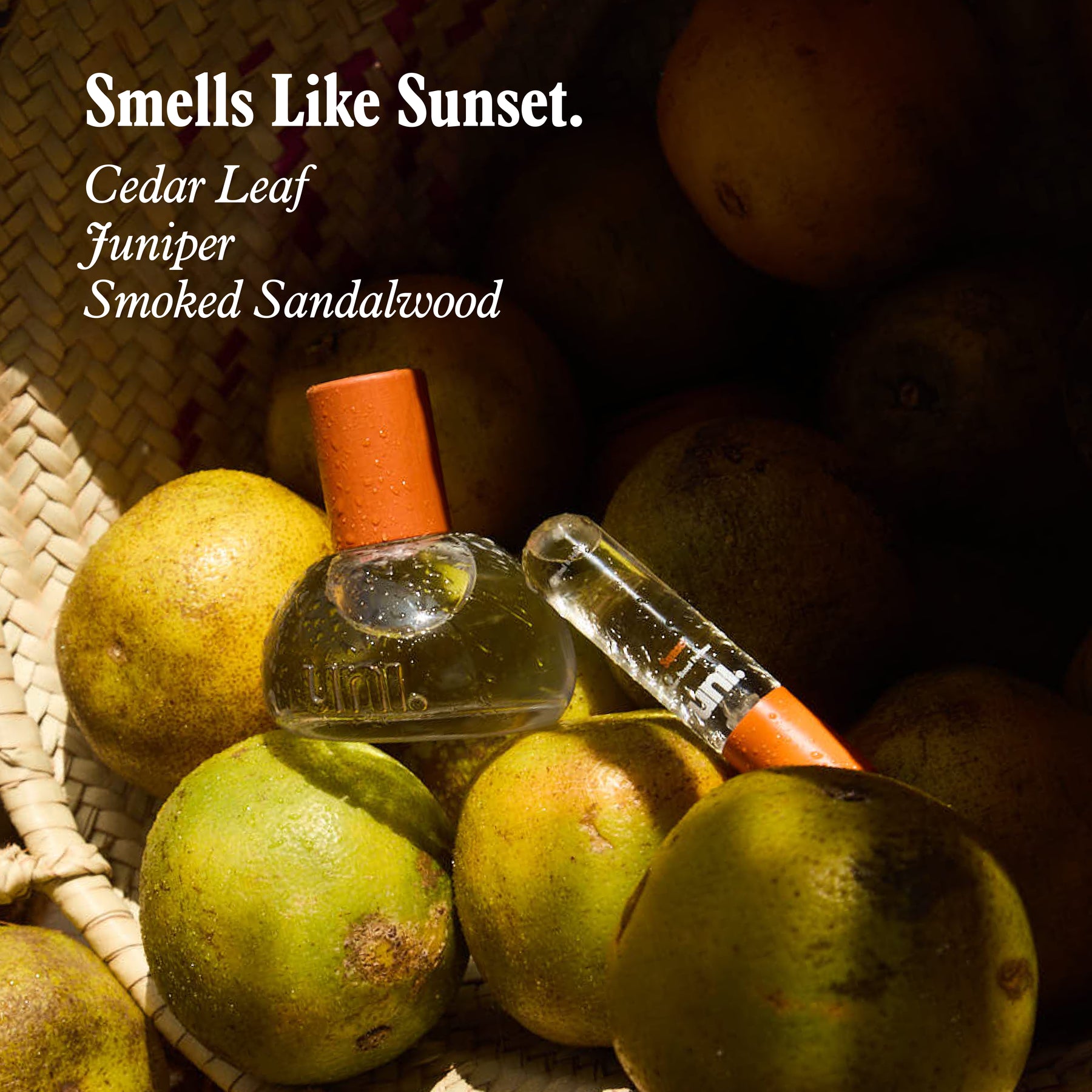 Fragrance Discovery Kit