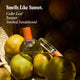 Fragrance Discovery Kit