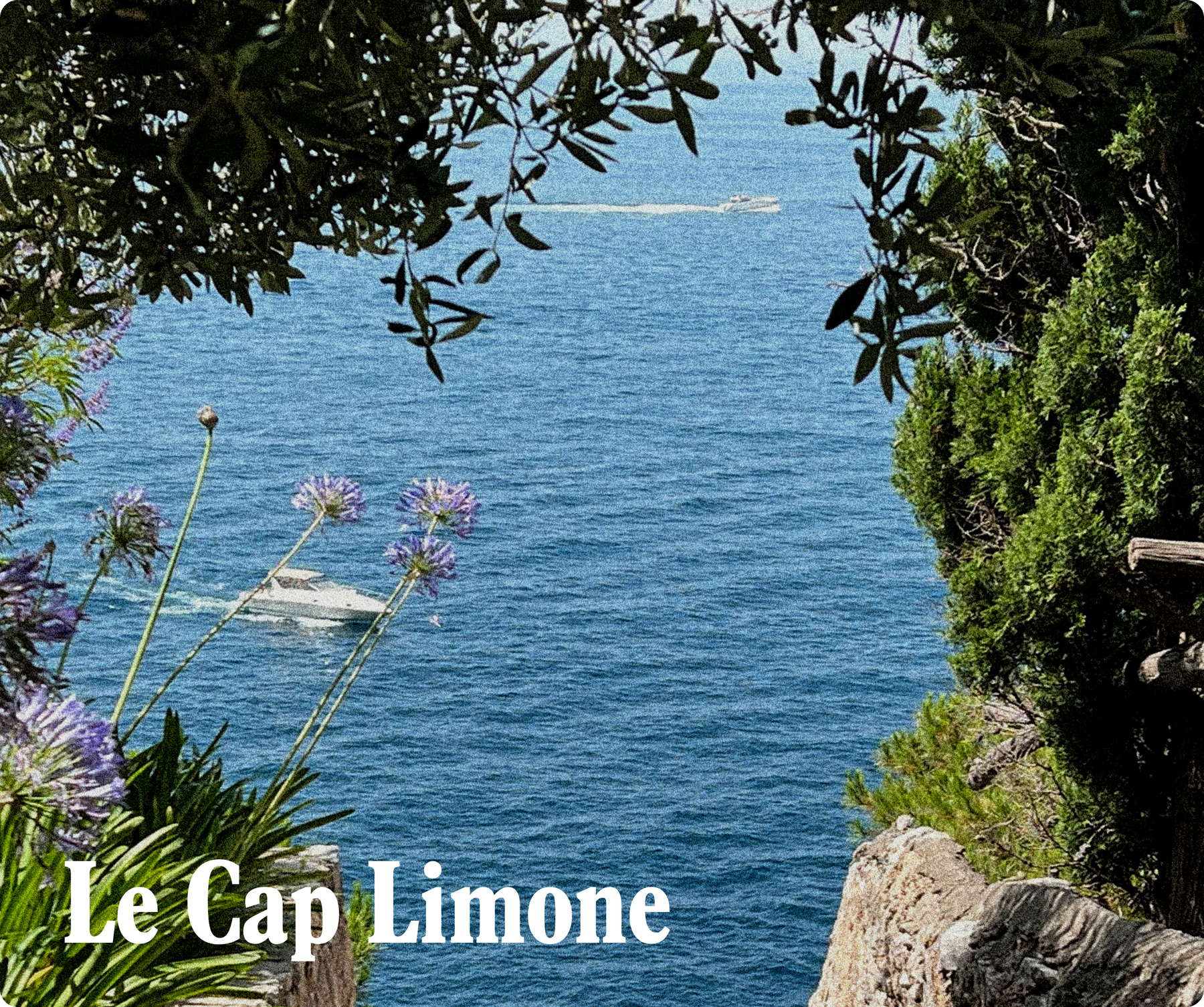 Hydrating Conditioner